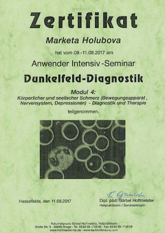 DF Mikroskopie Aufbau 1